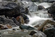 Pentingnya Menjaga Daerah Aliran Sungai untuk Masa Depan