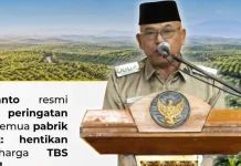 Bupati Pasaman Barat Minta PKS Patuhi Harga TBS yang Ditetapkan Provinsi