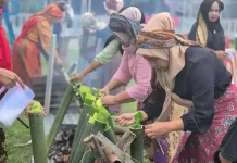 Nyala Etika Demokrasi dari Tungku Lemang Perempuan Minang