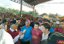 Bupati Pessel Pastikan Perusahaan Sawit Beli TBS Sesuai Harga Ketetapan