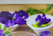 Seduahn Bunga Telang, Minuman Herbal dengan Beragam Manfaat Kesehatan