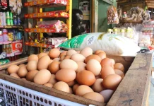 Murah dan Bergizi, Telur Jadi Andalan Keluarga