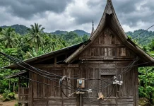 PLN Respon Keluhan Kekurangan Tiang Listrik di Nagari Kapujan