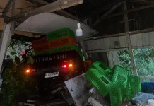Longsor dan Pohon Tumbang Ganggu Arus Padang-Painan