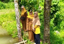 Ketahanan Pangan Diperkuat lewat Bantuan Bibit di Kecamatan Talamau Pasbar