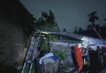 Hujan Angin Tumbangkan Pohon di Tiga Lokasi Payakumbuh, Satu Rumah Warga Tertimpa
