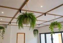 Percantik Ruangan dengan Sentuhan Tanaman Gantung Estetik