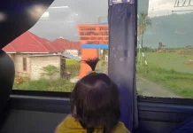 Tips Aman dan Nyaman Naik Bus Bersama Bayi saat Perjalanan Jauh