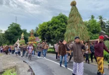 Tradisi Bersih Desa Warisan Budaya Terus Dilestarikan Warga Pasbar