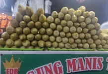 Nikmatnya Santap Jagung Rebus Manis saat Hujan