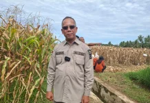 Pemko Padang Pastikan Ketersediaan Pupuk Berkualitas