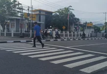 Memahami Fungsi Zebra Cross di Jalan Raya