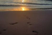 Ragam Manfaat Menapak tanpa Alas Kaki di Pasir Pantai