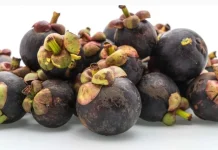 Buah Manggis, Si “Ratu Buah” dengan Segudang Manfaat Kesehatan