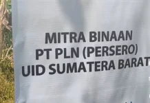 RPN & PLN Sumbar Kembangkan Program Satu Rumah Satu Kolam di Padang