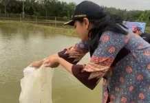 Dharmasraya Perkuat Ketahanan Pangan Melalui Program OVOP Perikanan