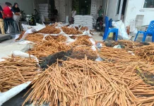 Sebanyak 20 Ton Rempah Sumbar dengan Nilai Rp1,3 Miliar Berlayar ke Thailand