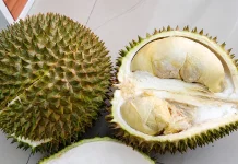 Durian, Raja Buah yang Kaya Nutrisi tetapi Perlu Dikonsumsi Bijak