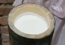 Yoghurt Tradisional Minangkabau
