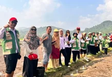 Petani di Kabupaten Limapuluh Kota Mulai Terapkan Pertanian Modern
