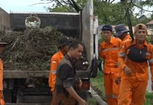 Sambut HJK Padang 2026, DLH Padang Siapkan 300 Personel