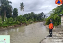 Tebing Sungai Batang Tiku Longsor, BPBD Agam Imbau Warga Tingkatkan Kewaspadaan