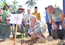 Pemko Payakumbuh Tanam 3.000 Bibit Pisang untuk Dukung Program MBG