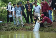 Forikan Sijunjung Salurkan 2.000 Bibit Ikan untuk Dukung Ekonomi Warga