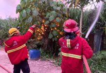 Satu Rumah dan Lahan Kosong Terbakar di Dadok Tunggul Hitam Padang