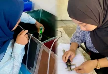 Riset Mahasiswa Bung Hatta Temukan Akuarium Hitam Optimalkan Budidaya Lobster