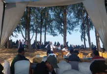 Hari Mangrove Sedunia, Pessel Perkuat Komitmen Pelestarian Pesisir