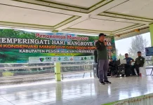 Pemkab Pessel Komit Lestarikan Mangrove & Konservasi Penyu