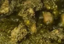 Bahan dan Cara Membuat Itiak lado Hijau