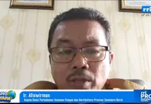 Pemprov Sumbar Siapkan PM-AAS Kejar Produktivitas Padi 10 Ton per Hektare