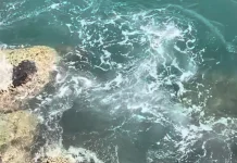 Pesona Kejernihan Air Laut Pesisir Nusantara