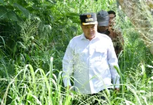 Dam Irigasi Baru Perkuat Ketahanan Pertanian Agam Hadapi Anomali Iklim