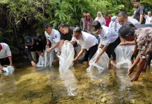 Pemkab Pesisir Selatan Tebar 10 Ribu Benih Ikan Garing di Sungai Gayo
