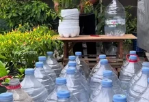 Memanfaatkan Galon Bekas untuk Pot Bunga Bertingkat