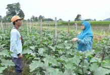 TMMD di Agam Perkuat Gotong Royong dan Ketahanan Pangan Warga