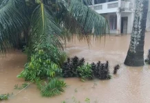 Hujan Lebat Picu Banjir Longsor di Padang Pariaman