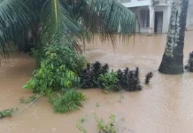 Pasca Bencana Hidrometeorologi, Tim Gabungan Padang Pariaman Lakukan Pendataan