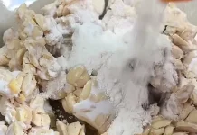 Camilan Berbahan Dasar Tempe