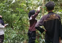 Mahasiswa UNP Kembangkan Riset Menghitung Cadangan Karbon Perhutanan Sosial