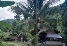 KKN UGM Bangun Penerangan Jalan Tenaga Surya di Nagari Mandeh