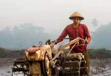 BPS: Nilai Tukar Petani (NTP) Sumbar Naik 0,68 Persen pada Juni 2026