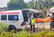 Aniaya Ibu dan Nenek hingga Tewas, Pria di Pasbar Ditangkap Polisi