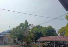 Kualitas Udara Sumbar Masuk Kategori Sedang