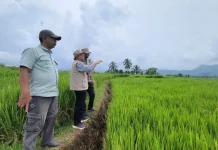 Unand Menyoroti Perubahan Iklim Ubah Cara Petani Bekerja