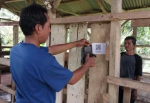 Sidik Ternak Percepat Akurasi Data Peternakan Dharmasraya