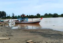 Pengelola KNMP Padang Sarai Harap Pengerukan Muara Anai